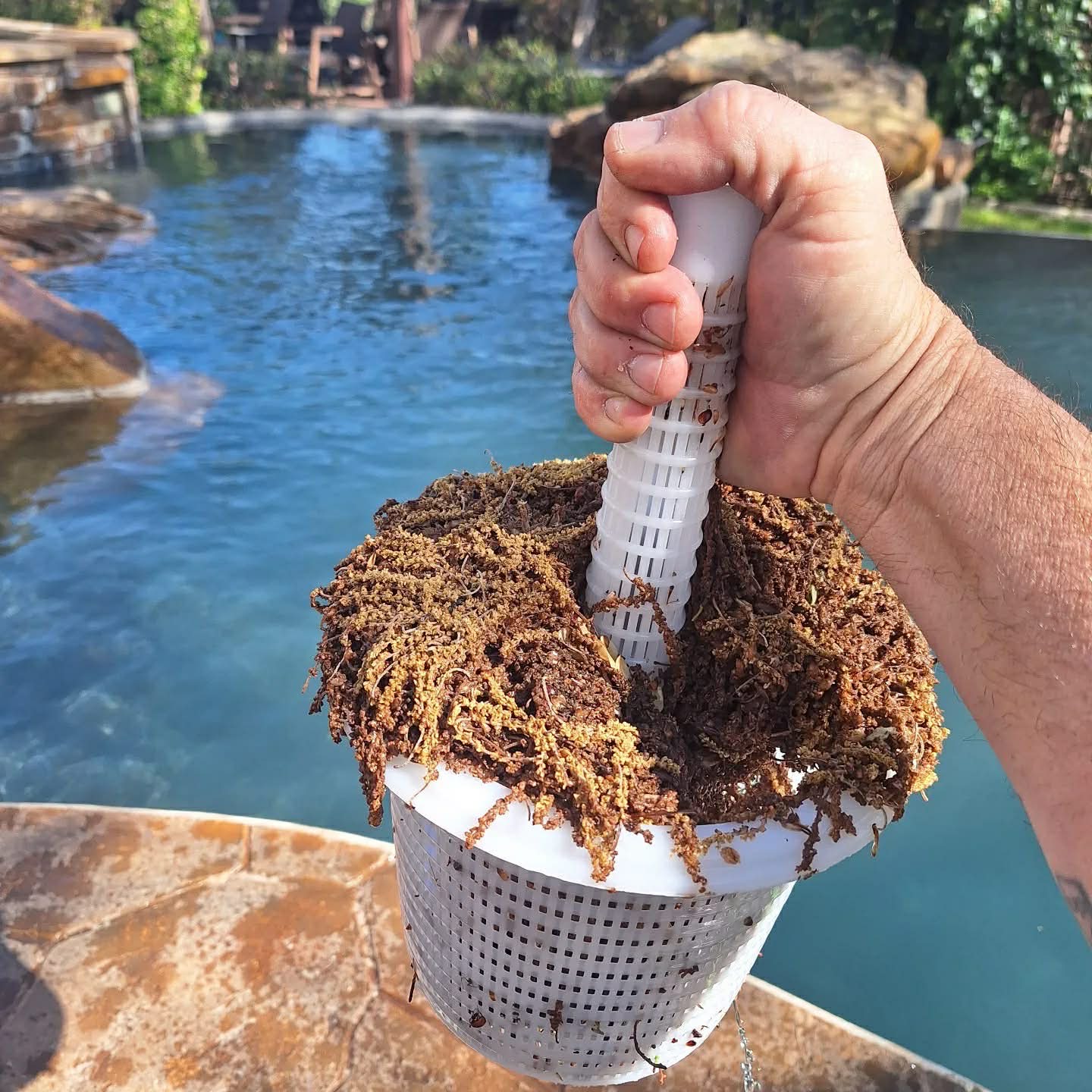 Clean swimming pool with balanced chemistry — West Austin weekly service